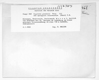 Image Associated With the Occurence